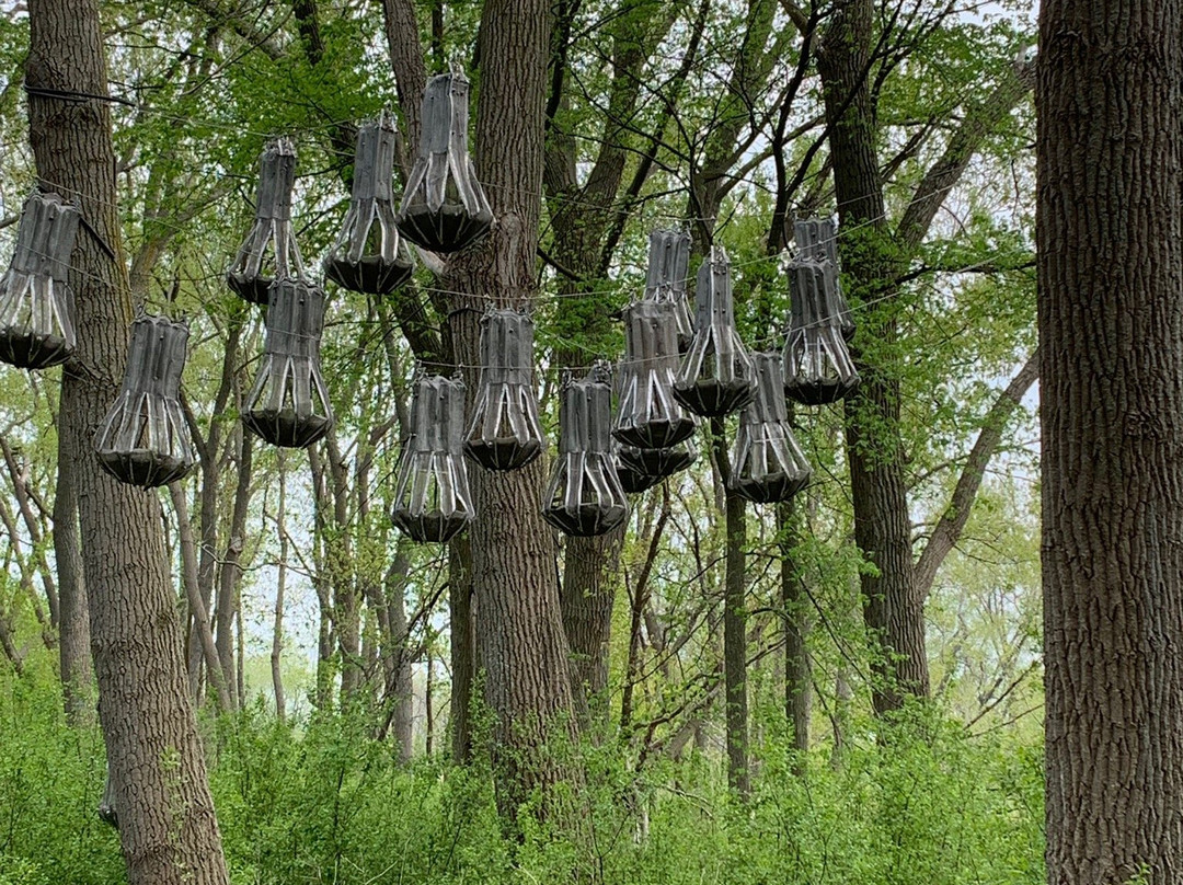 Tifft Nature Preserve-水牛城必去景点