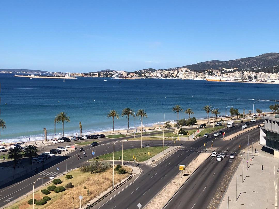 Melia Palma Bay主图