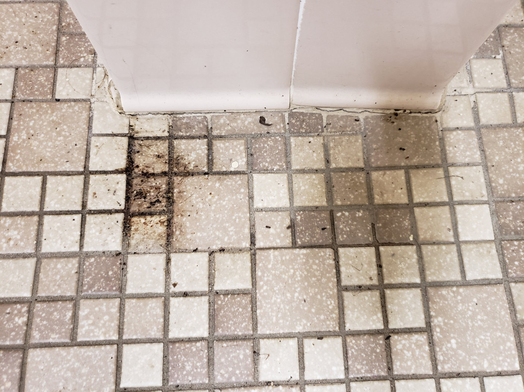 Greenbelt Park-格林贝尔特必去景点