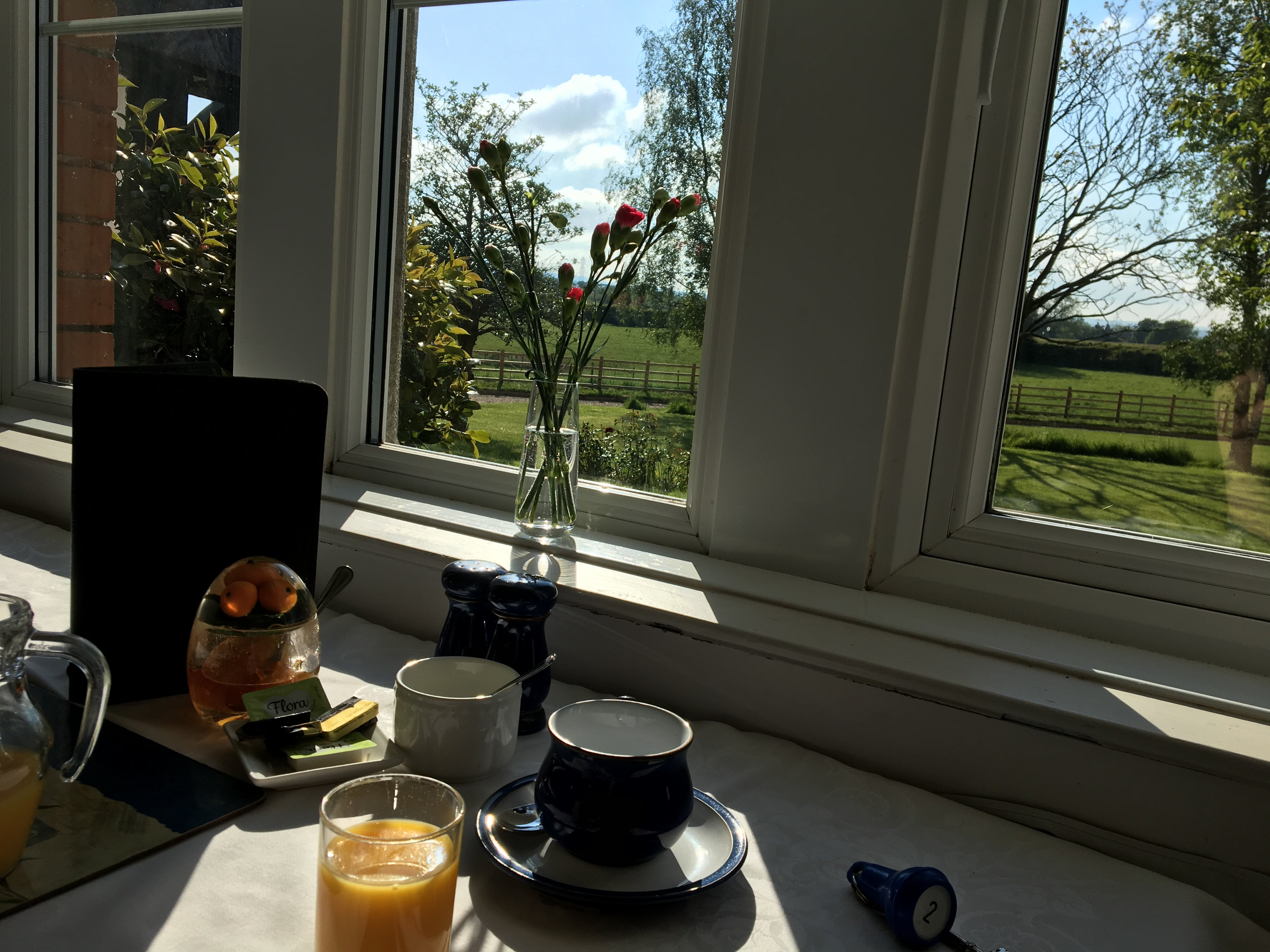 Newcourt Barton B&B-餐饮
