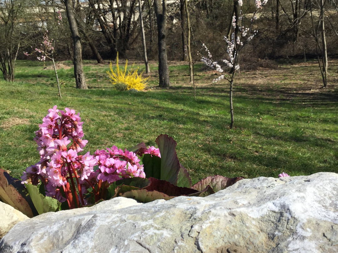 Sumirago旅游攻略图片