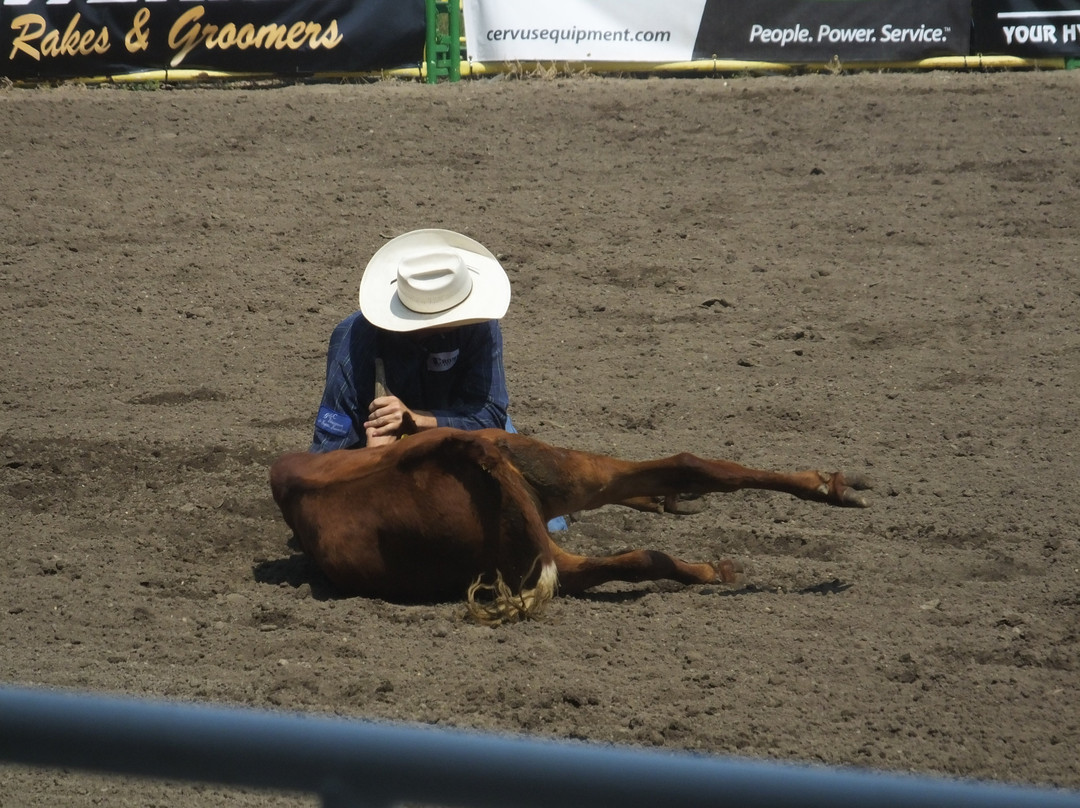Strathmore Stampede-Strathmore必去景点