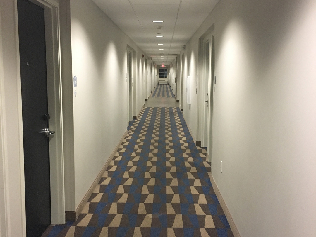Microtel Inn & Suites by Wyndham Philadelphia Airport Ridley主图
