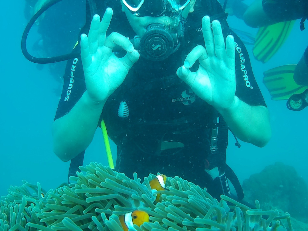 Gypsy Divers Dive Resort-哈夫洛克岛必去景点