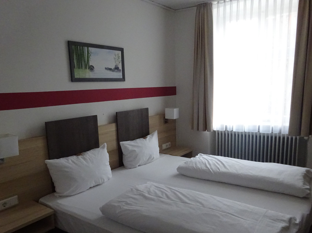 Hotel Blauer Hecht主图
