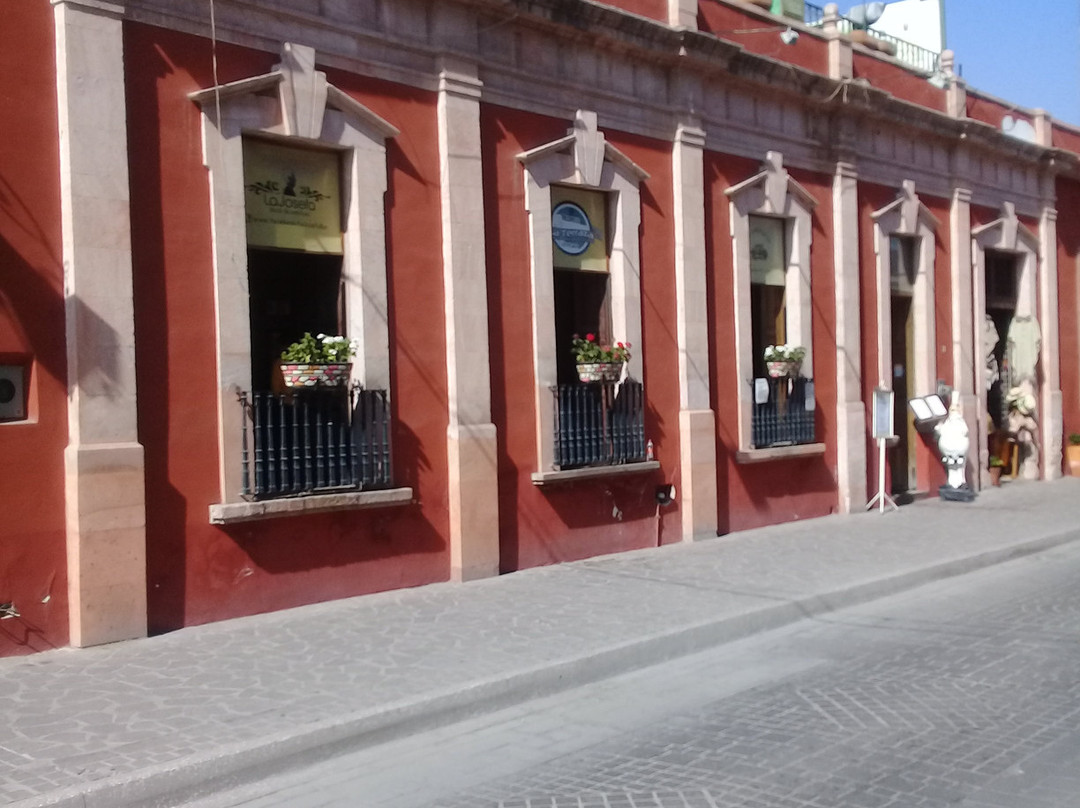Plaza Principal - Jardin del Grande Hidalgo景点图片