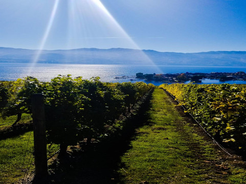 Upper End Wine Tours-基洛纳必去景点