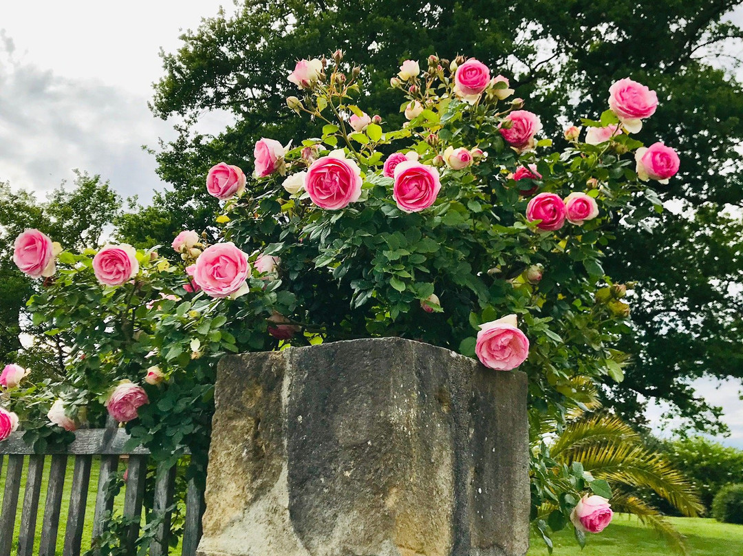La Maison du Bos主图