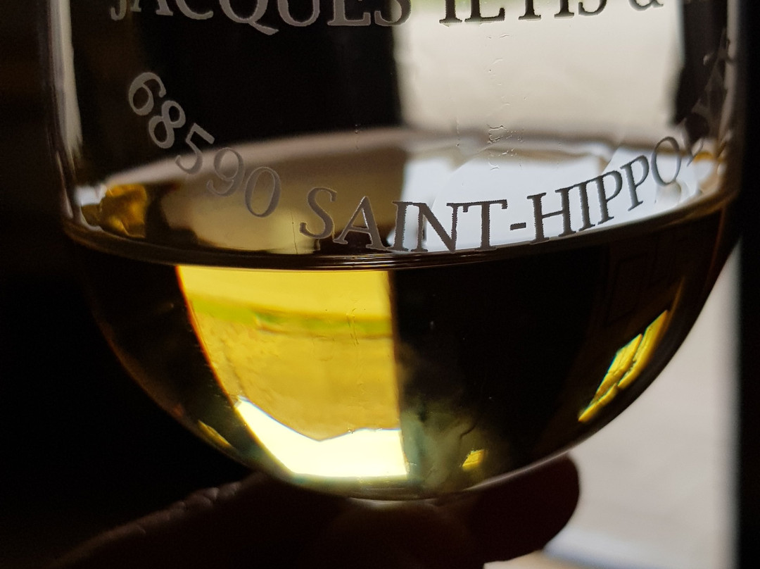 Domaine Jacques Iltis & Fils景点图片