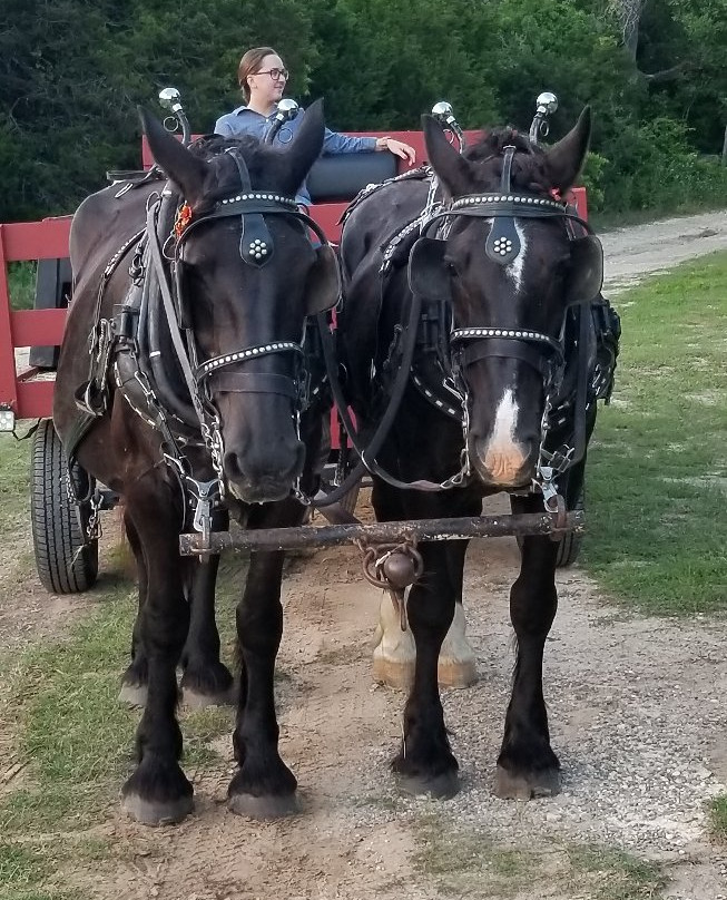 Eagle Eye Ranch Carriage Company-Glen Rose必去景点