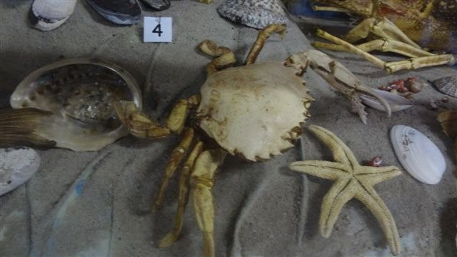 SA Fisheries Museum-Velddrif必去景点