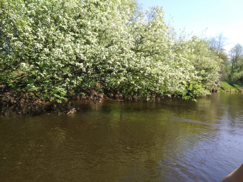 Team Gorky-下诺夫哥罗德必去景点