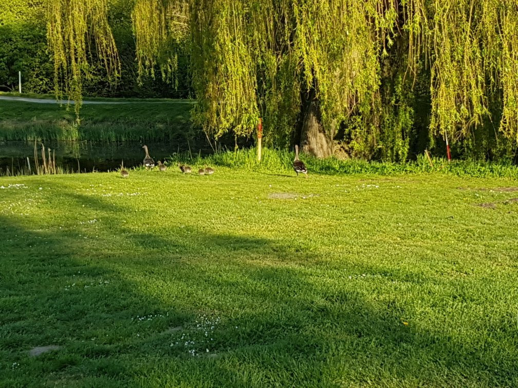 Golf Club Ostseebad Groemitz-Gromitz必去景点