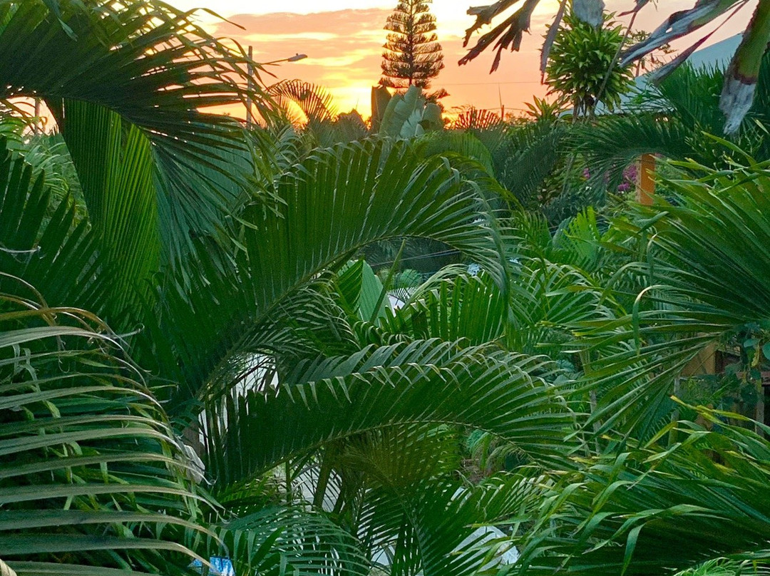 Casa Shangri La主图