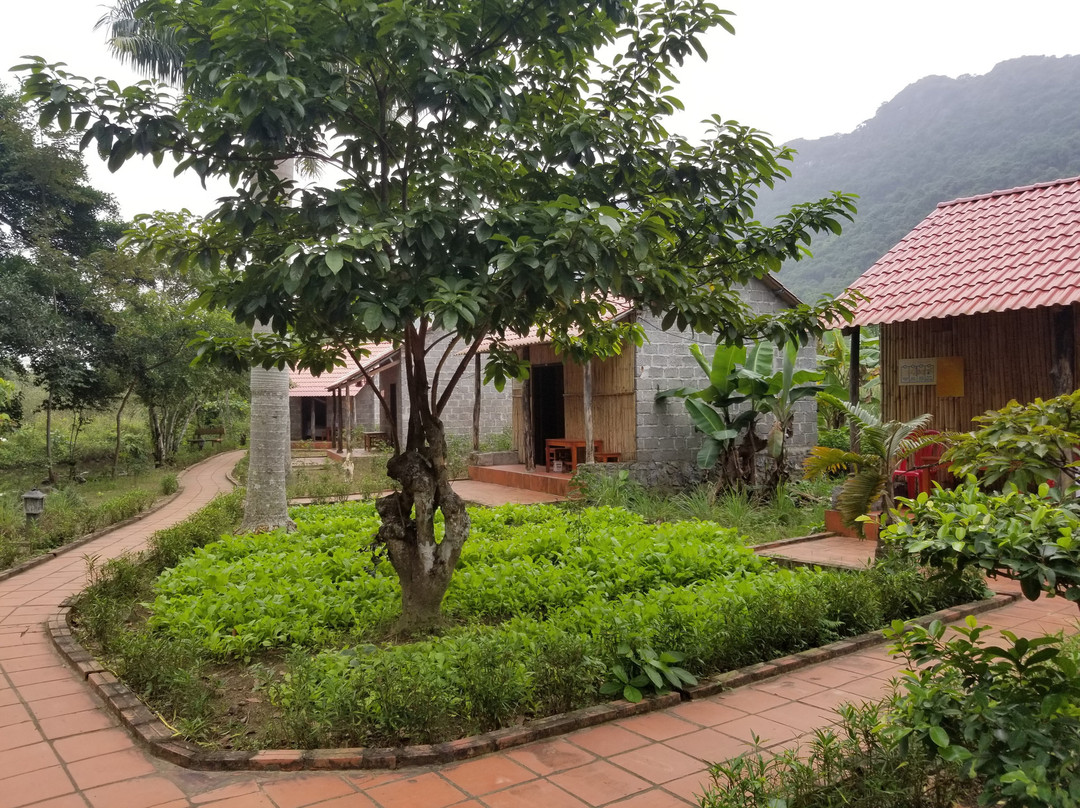 Cat Ba Trip-卡巴必去景点