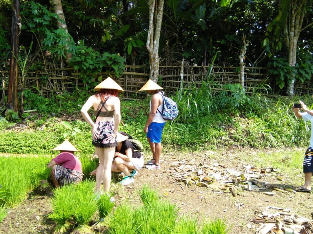Tetebatu Indah Homestay Tour-Tetebatu必去景点