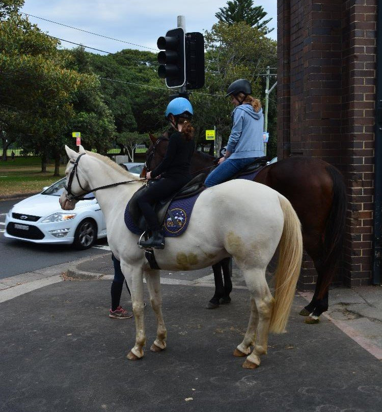 Eastside Riding Academy-悉尼必去景点