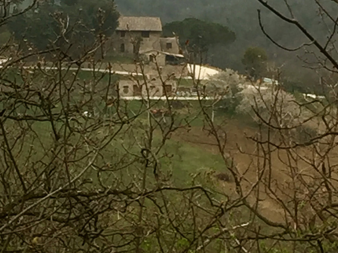 Agriturismo Colle Pu主图