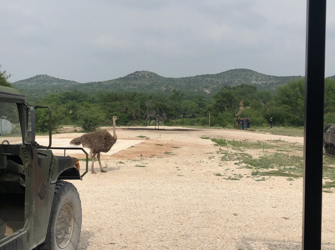 DriveTanks.com-Uvalde必去景点