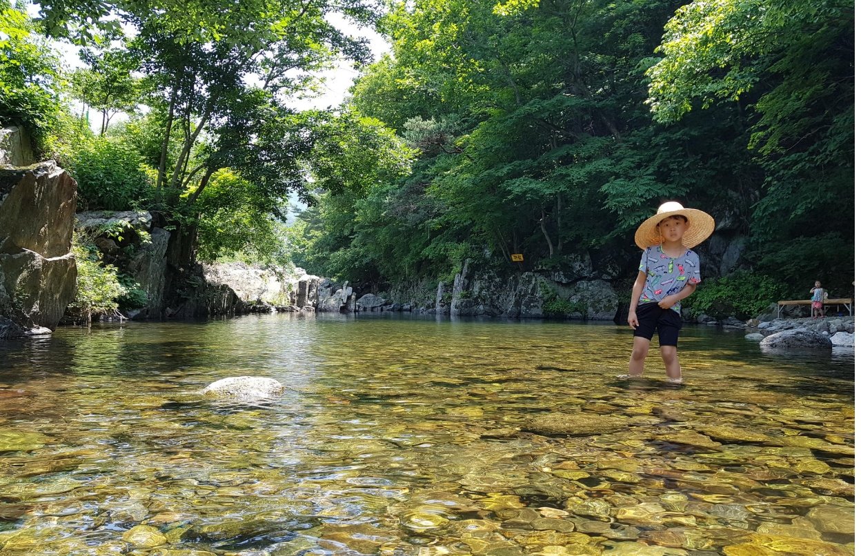 The Starry Night Pension&Camping-官方