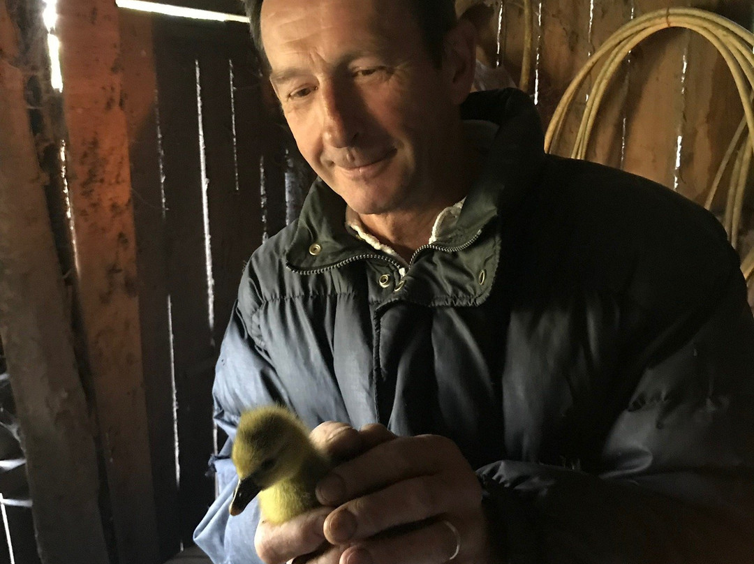 La Maréchalerie主图