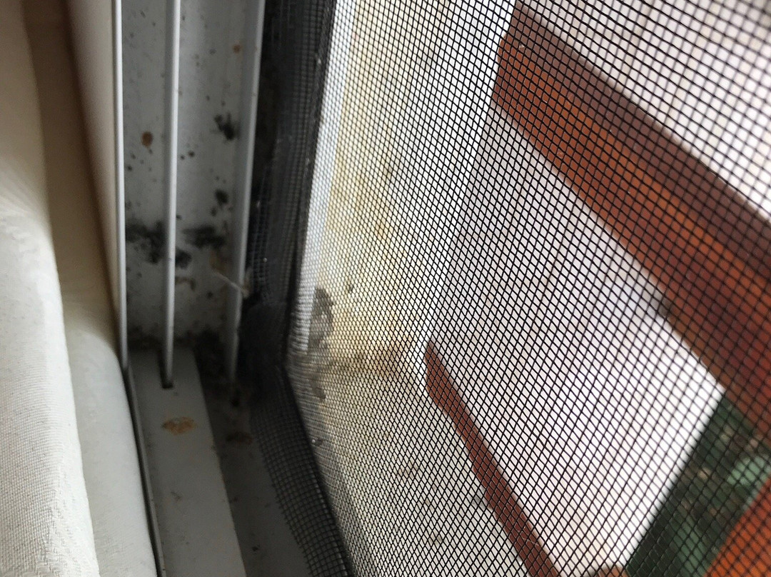 Floreana酒店住宿-Wittmer Lodge