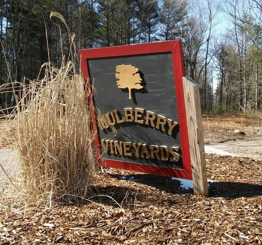 Mulberry Vineyard景点图片