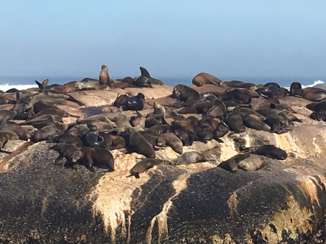 Daytrippers-开普敦中心区必去景点