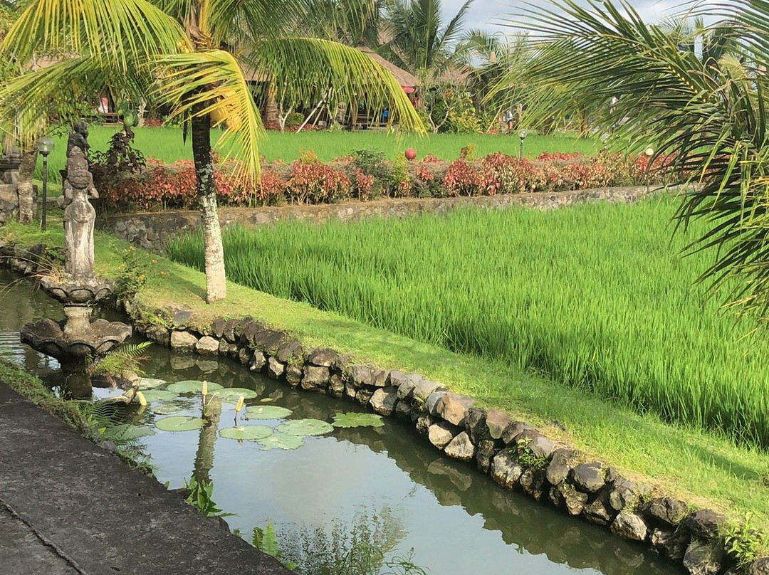 Bali Travel Vacation景点图片