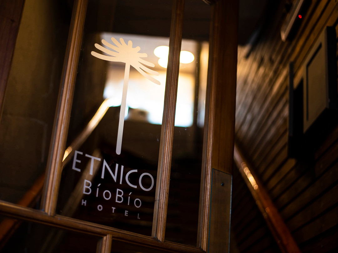 Hotel Etnico Bio Bio主图