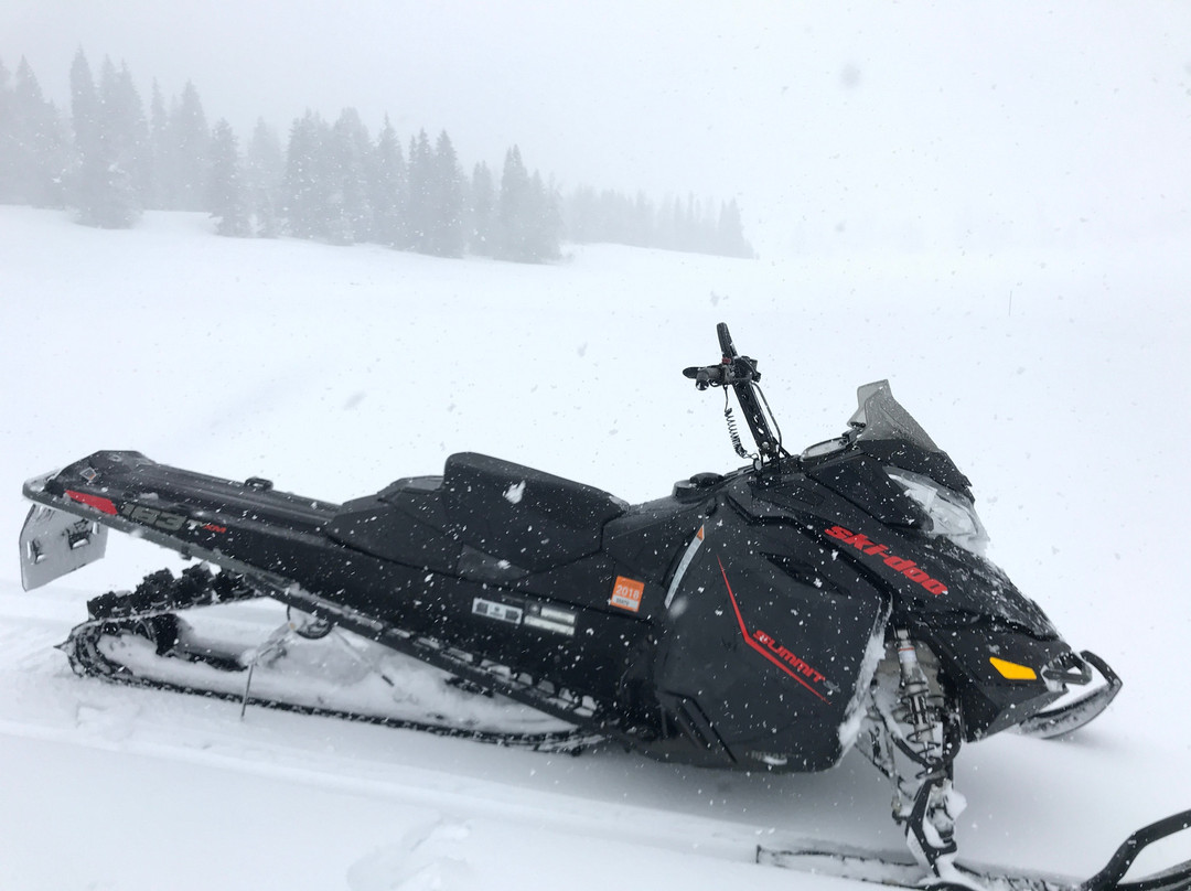 Buzz's Backcountry Adventures-韦尔必去景点