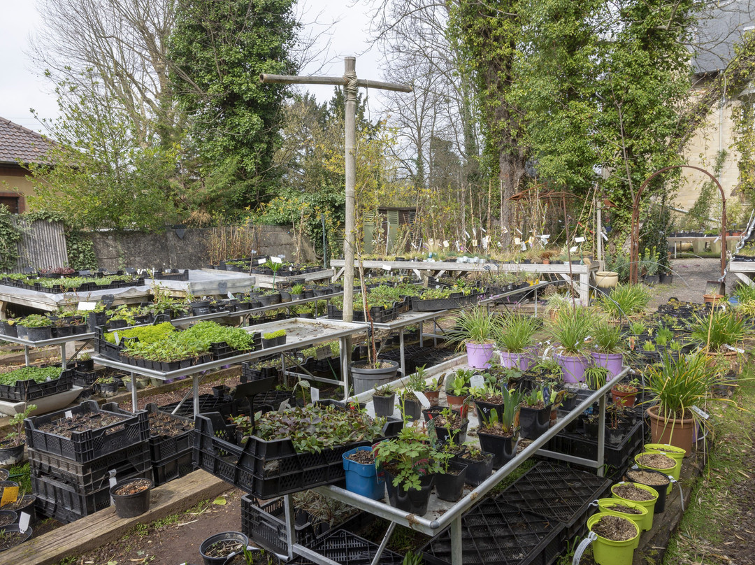 Jardinerie de Curiosités Taffin景点图片