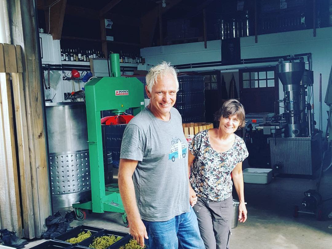 WaiTiki Tours-怀系奇岛必去景点