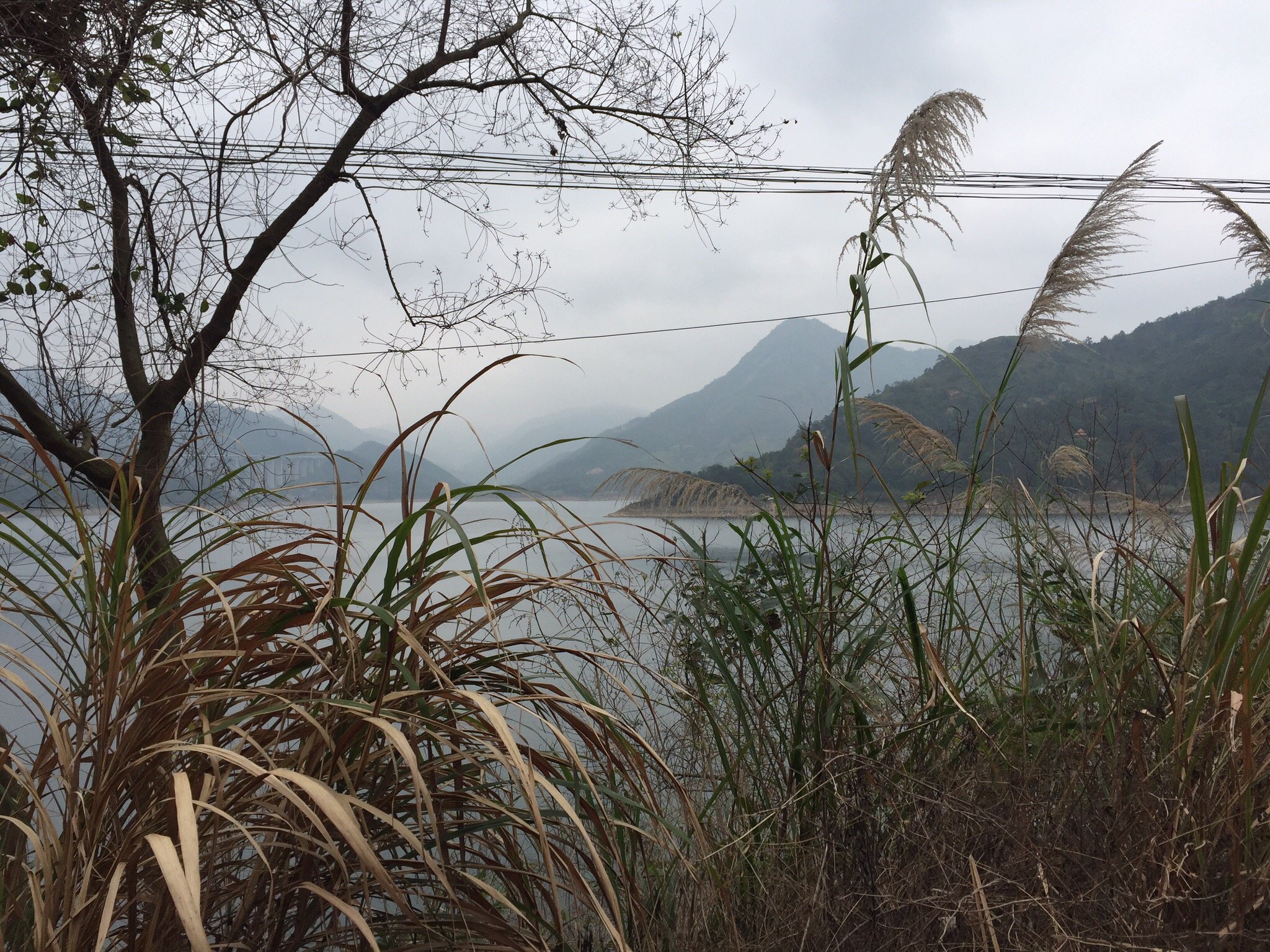 金凯苑商务宾馆-官方