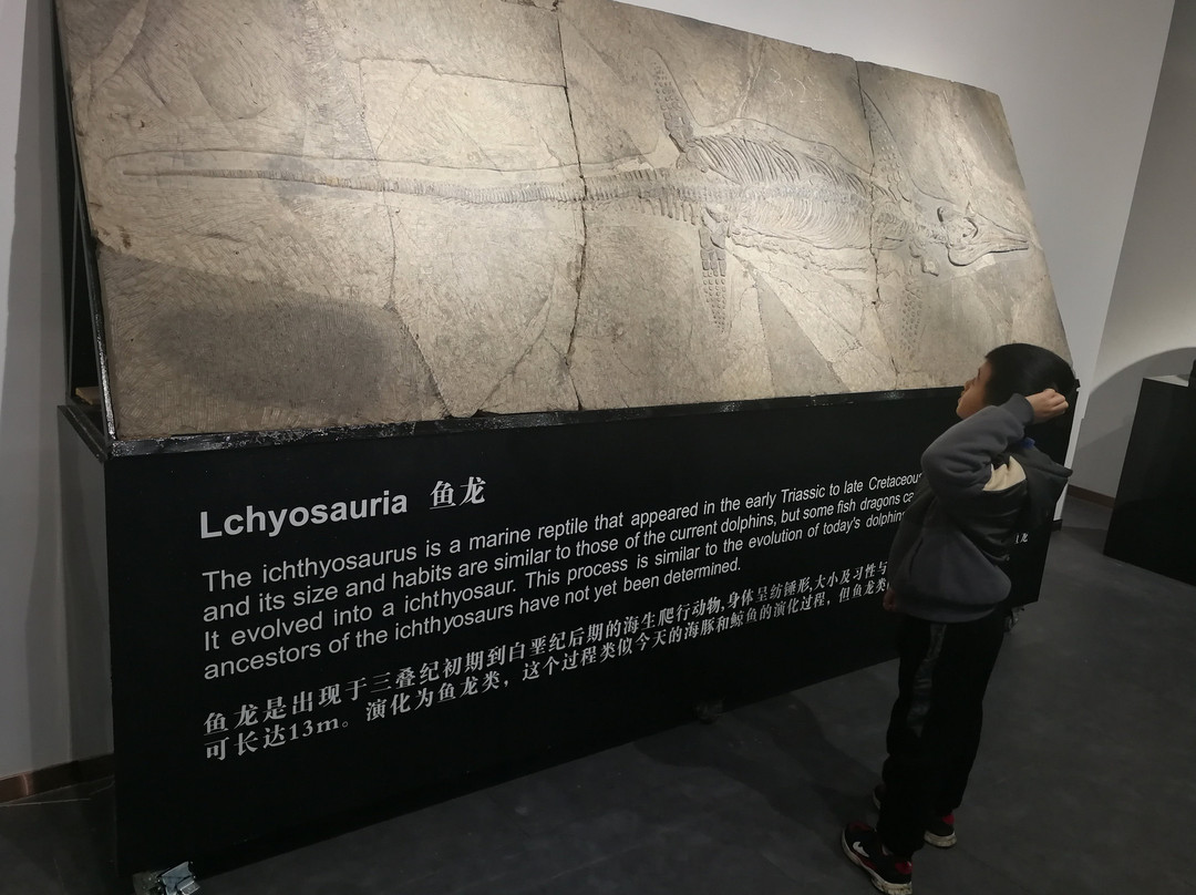 桂林榕湖美术馆-桂林市必去景点