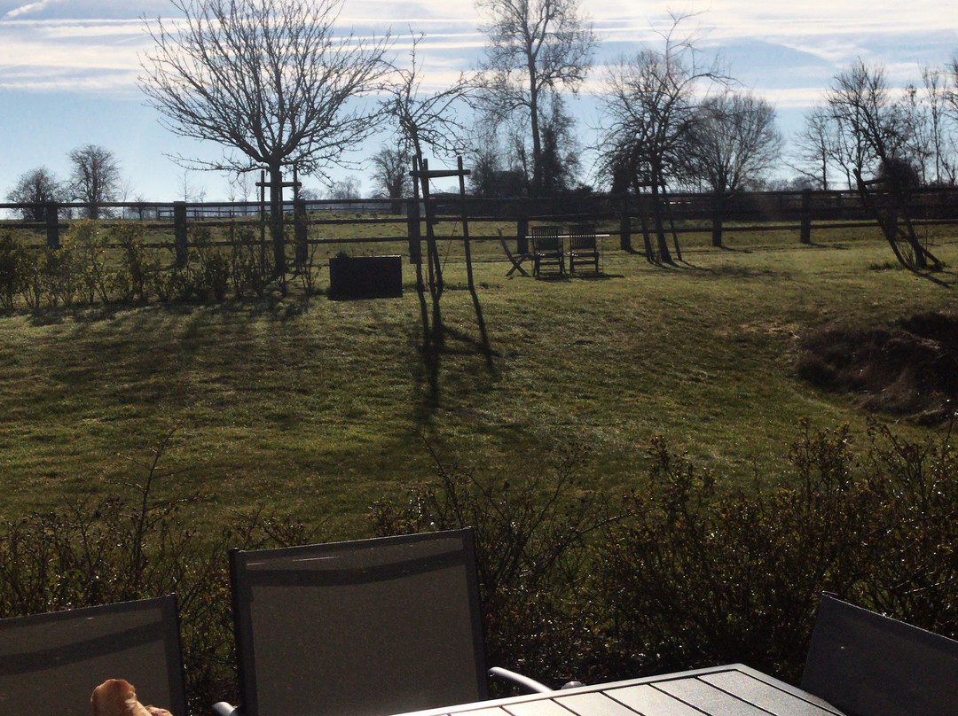 Haras des Leudets