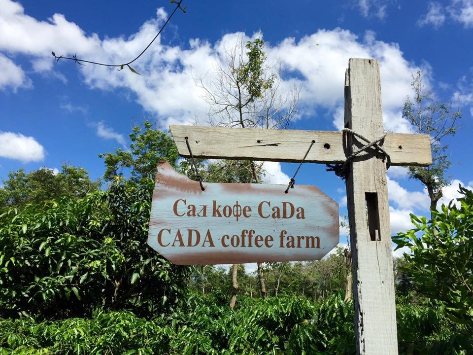 Buon Ho旅游景点-越南咖啡产地 (V'ori咖啡)