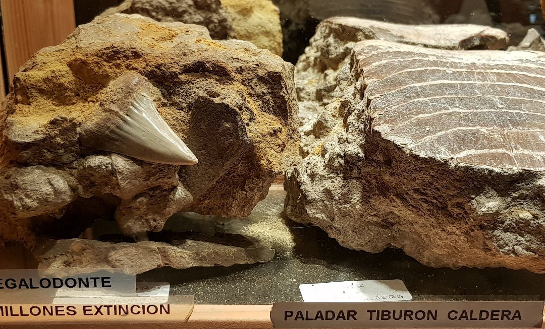 Neltume Cultural Center, Museum and Memorial-耐尔杜美必去景点