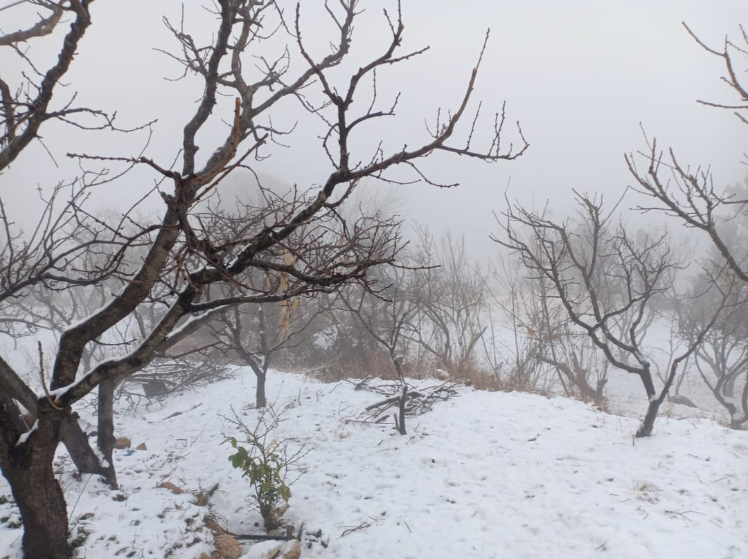 The Perch Mukteshwar主图