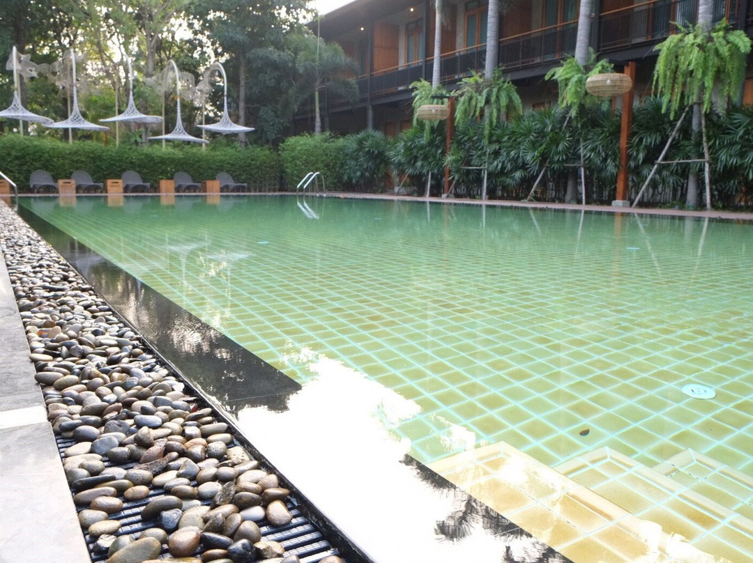 The Buffalo Amphawa主图