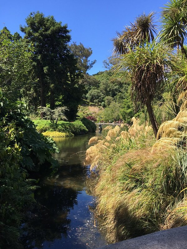 达尼丁植物园景点图片