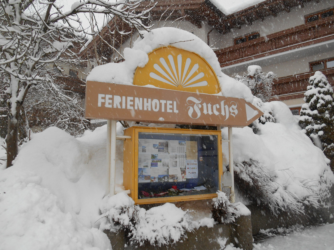Ferienhotel Fuchs主图
