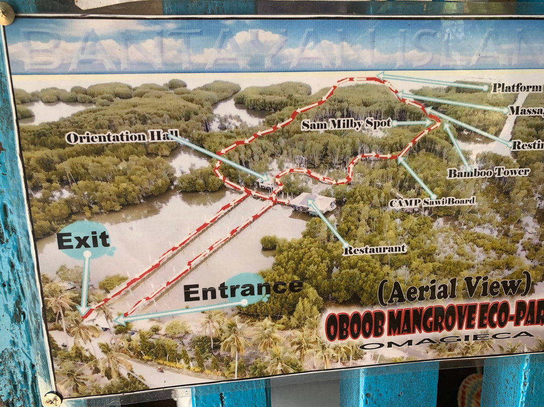 Omagieca Mangrove Garden景点图片