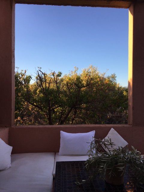 The Capaldi Hotel主图