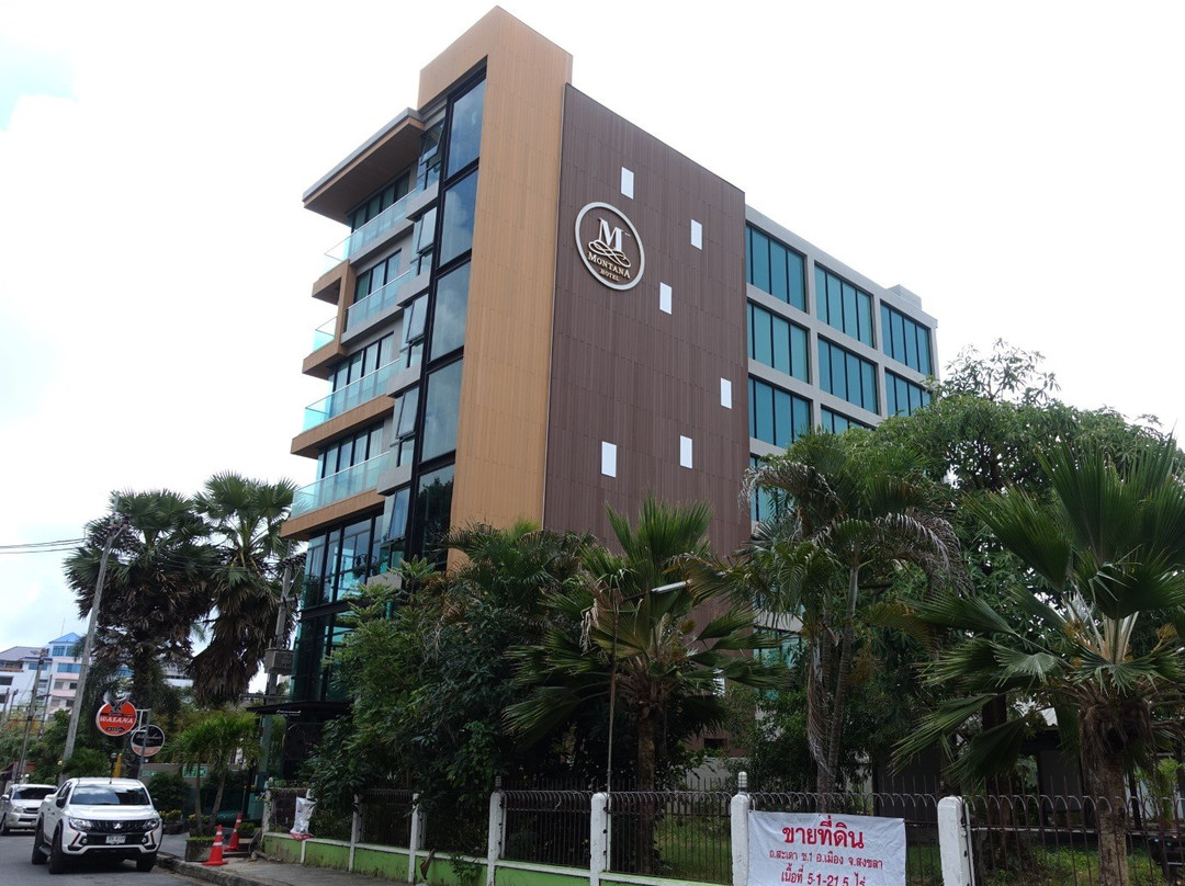 Montana Hotel主图