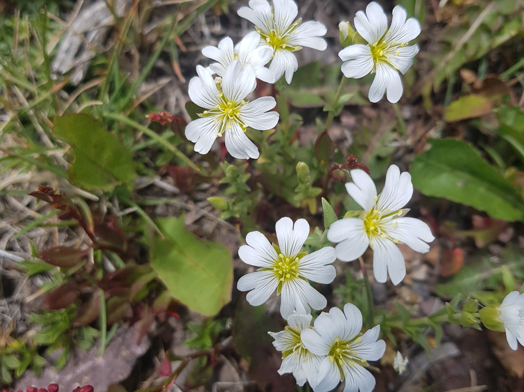 La Quebrada del Cóndor-Tupungato必去景点