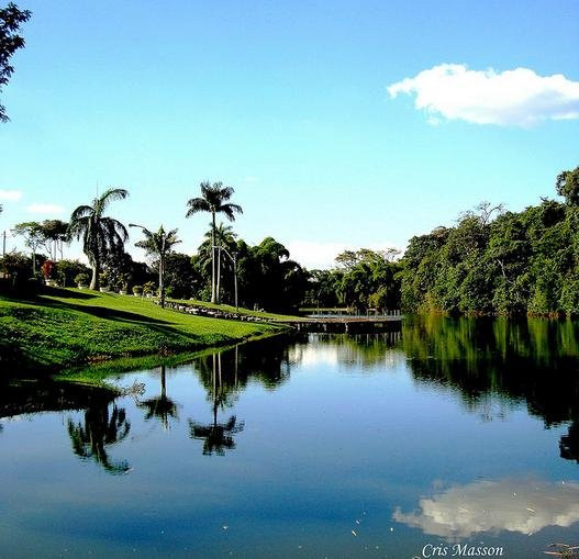 Guapo旅游景点-Amalia Hermano Teixeira Botanic Garden