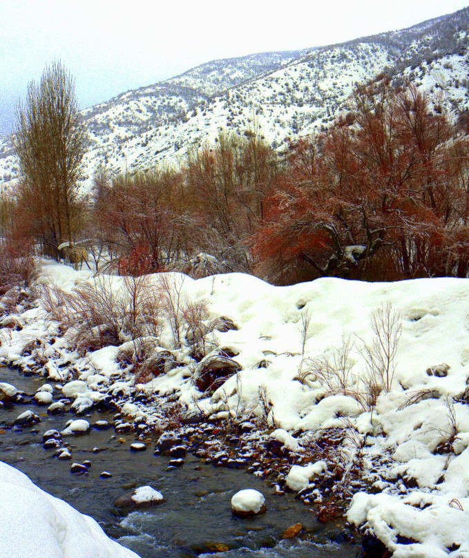 Bingol Province旅游攻略图片