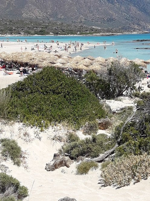 Elafonisi Beach景点图片