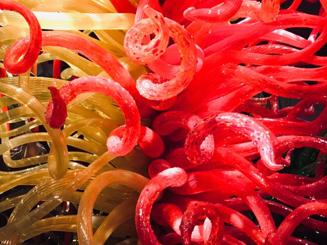 Chihuly Collection景点图片